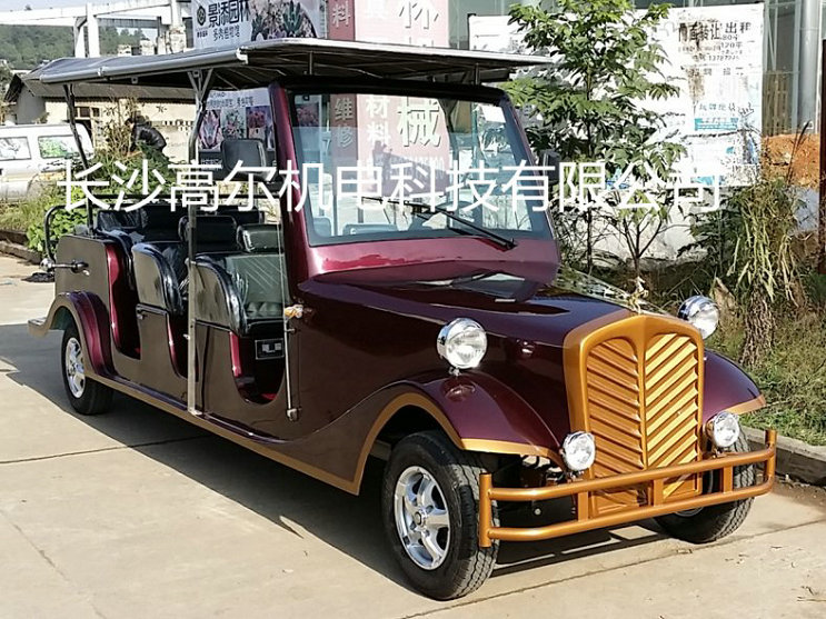 麗發(fā)新城電動(dòng)看房車(chē)